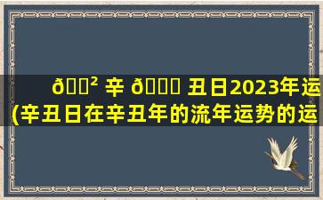 🌲 辛 🐋 丑日2023年运势(辛丑日在辛丑年的流年运势的运势)